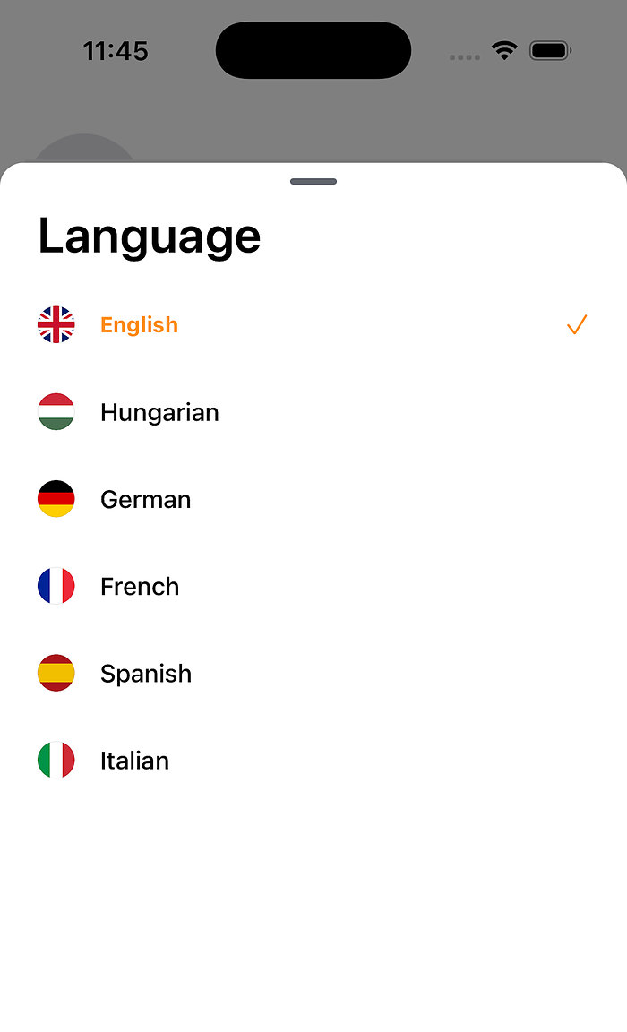 Language settings: English, Hungarian, German, French, Spanish, Italian